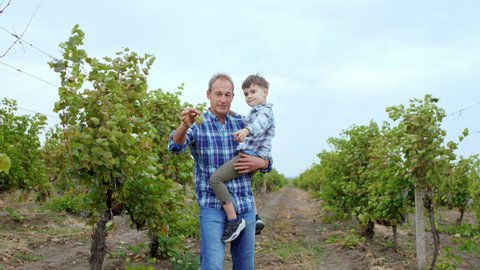 Happy and charismatic grandpa and his cute with a large smile nephew walking together through the vineyard grandpa showing the grapes harvest to his nephew