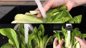 composite of several close-up slow motion video shots of woman washing Chinese cabbage