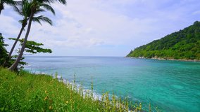 Beautiful Flower With Palm Trees frame in The beautiful Bay,Scenery view Phuket travel destination at Tropical island vacation idyllic background,Video summer open travel season concept