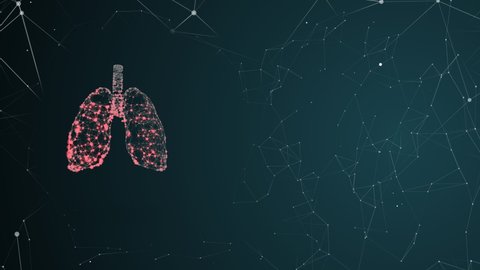 4k video of human lungs anatomy form lines and triangles, point connecting network on blue background.