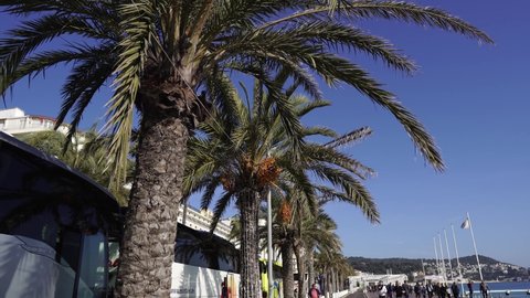 
Nice France 0.22.2020
Palm trees along the beach and road on the French Riviera in Nice. People walk and jog near the palm trees.