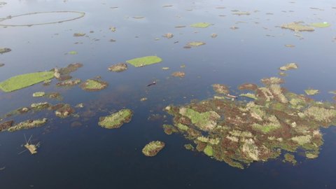 the amazing lake loktak, in manipur, india