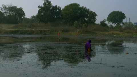 District Katni, Madhya Pradesh, India - January 04, 2021: Indian village woman into the water pond for chestnut farming around organic agriculture on lake farming concept.