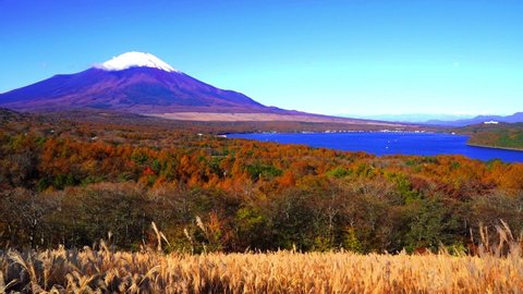 mt fuji and lake yamanaka from panoramadai view point