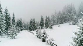 Snowy Winter Season Snowfall Scenery Wonderland. Snow Ambience. Snow Covered Pine Trees, Landscape 4K Aerial View Drone Shot Video Footage Background