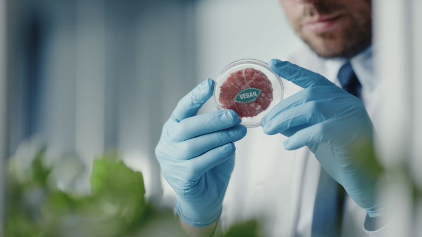 Close up of a Microbiologist Looking at a Lab-Grown Cultured Vegan Meat Sample. Medical Scientist Working on Plant-Based Beef Substitute for Vegetarians in a Modern Food Science Laboratory. Royalty-Free Stock Footage #1064997841