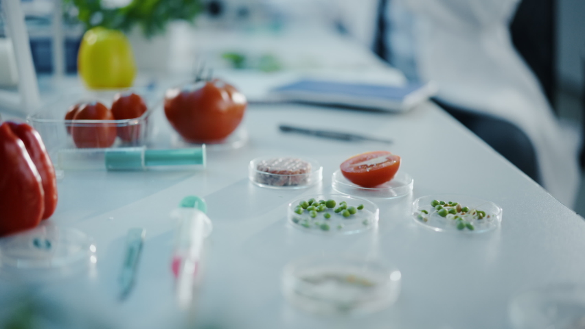 Handsome Male Scientist in Safety Glasses Analyzing a Lab-Grown Tomato Through an Advanced Microscope. Microbiologist Working on Molecule Samples in Modern Laboratory with Technological Equipment. Royalty-Free Stock Footage #1064997925