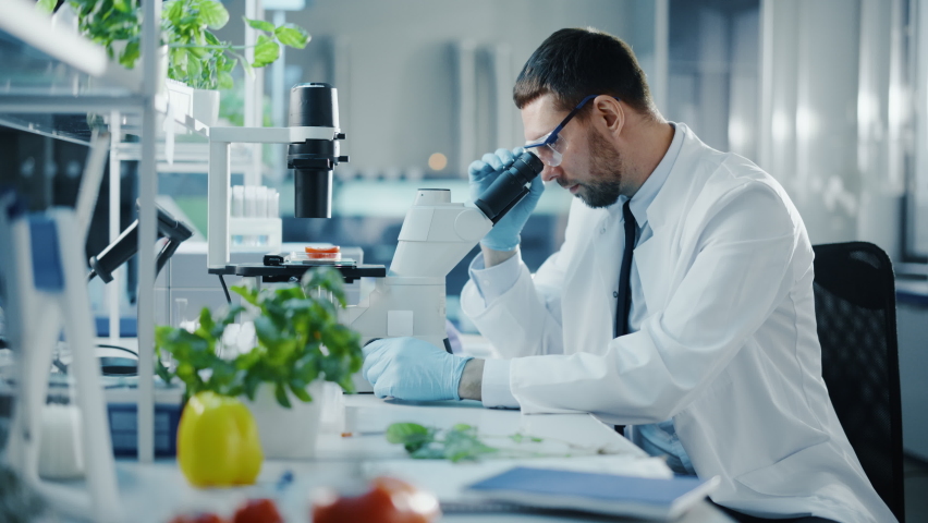 Handsome Male Scientist in Safety Glasses Analyzing a Lab-Grown Tomato Through an Advanced Microscope. Microbiologist Working on Molecule Samples in Modern Laboratory with Technological Equipment. - Powered by Shutterstock - Get 15% off with code: PIKWIZARD15