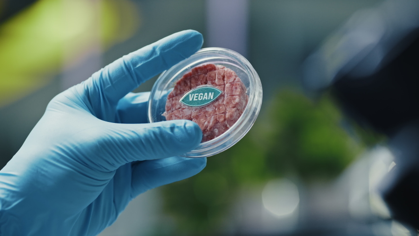 Close up of a Microbiologist Looking at a Lab-Grown Cultured Vegan Meat Sample. Medical Scientist Working on Plant-Based Beef Substitute for Vegetarians in a Modern Food Science Laboratory. Royalty-Free Stock Footage #1064997961