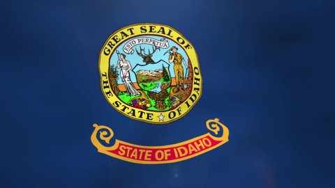 Idaho flag is waving 3D animation. Idaho flag waving in the wind. National flag of Idaho State. flag seamless loop animation