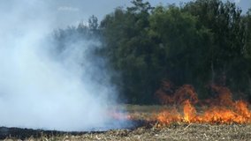Flames and smoke of a wildfire on a harvested dry field with stubbles. The wind is driving the very hot vegetation fire. Slow motion video.