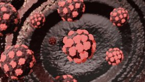 Coronavirus attack and lung destruction, COVID-19 concept, Looping 4K  Video
