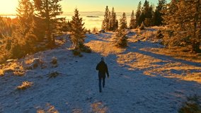 Man walking on a trail in a forest on a mountain above the clouds during sunset.