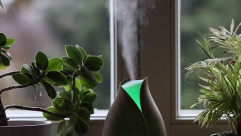 Design Wooden Aroma Diffuser with Changing Colors for Air Humidification and Essential Oil. Diffuser for Wellbeing in front of Window next to Room Plants.