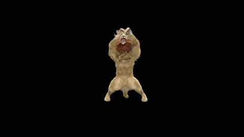 
Lion Dancing, 3d rendering, animal realistic, Included in the end of the clip with Alpha matte.