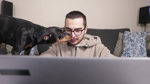 A man is trying to work on his laptop at home but he is being distracted by his dog