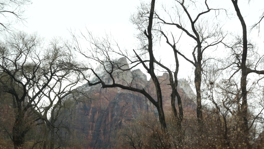 Road trip, driving auto in Zion Canyon, Utah, USA. Hitchhiking traveling in America, autumn journey. Red alien steep cliffs, rain and bare trees. Foggy weather and calm fall atmosphere. View from car.