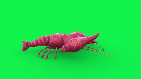 Crayfish Green Screen Idle Side 3D Rendering Animation 4K