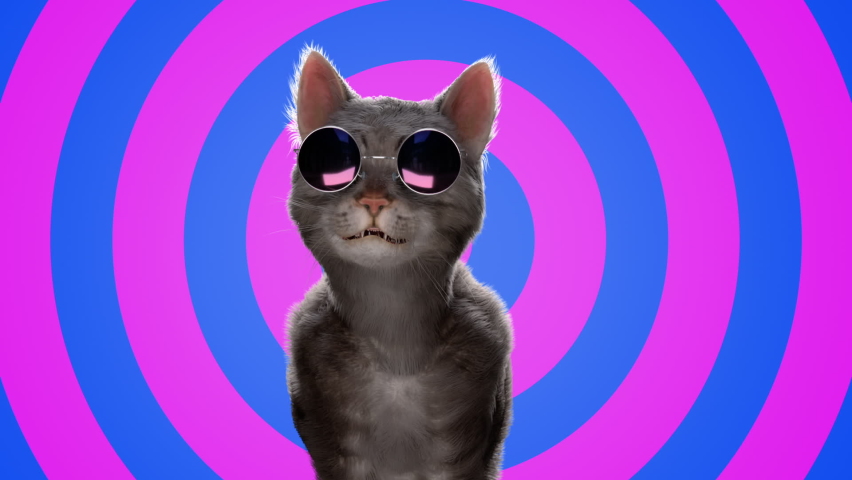Cat with retro sunglasses Headbanging. Shaking his head to the music. Isolated blue and pink colored circles background. ProRes 422HQ 12bit Mov. Seamless Looping 3D rendering. Royalty-Free Stock Footage #1065043723