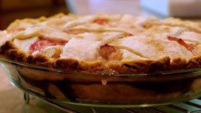 Hot and bubbling delicious homemade Rhubarb Custard Pie in glass pan, just out of the oven, in close-up clip with pan to right. - Powered by Shutterstock - Get 15% off with code: PIKWIZARD15