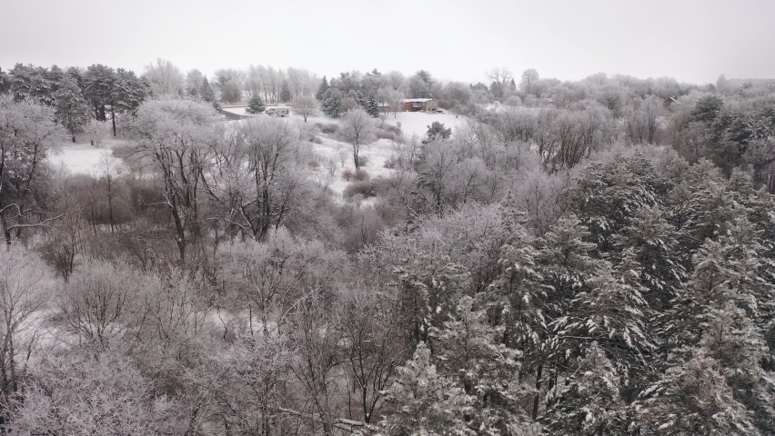 Aerial view of pine forest in winter. Trees covered with snow in the foreground,  residential house in the background. Beautiful nature, landscape, winter wonderland