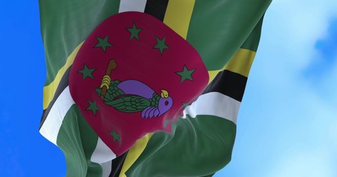 Seamless loop of Dominica flag.