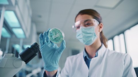 Close Up Footage of a Female Scientist Putting a Petri Dish with Genetically Modified Sample Chemicals Under a Microscope. Microbiologist Working in Modern Laboratory with Technological Equipment.