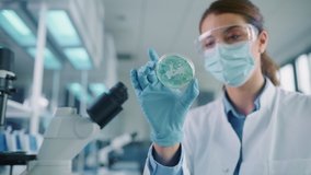 Close Up Footage of a Female Scientist Putting a Petri Dish with Genetically Modified Sample Chemicals Under a Microscope. Microbiologist Working in Modern Laboratory with Technological Equipment. - Powered by Shutterstock - Get 15% off with code: PIKWIZARD15