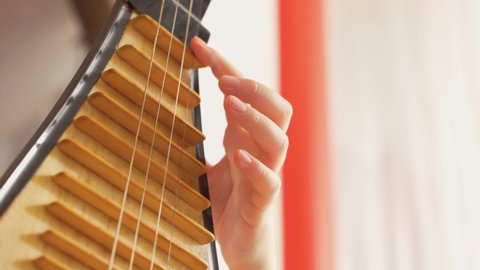 Woman playing the pipa close up