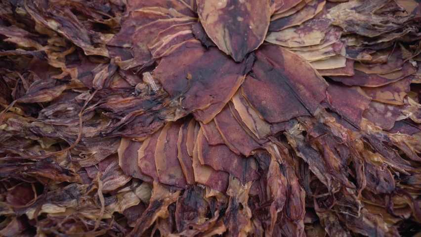 Dried fish sold by villagers in a community shop in southern Thailand.