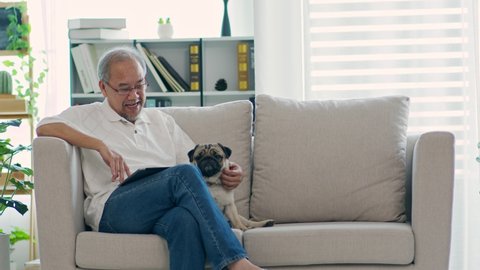 Sad Senior Man Broken Leg Cast Stock Photo 1901940244 | Shutterstock