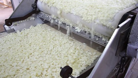 Industrial production of corn starch in food processing plant. Corn starch flakes on a conveyor belt