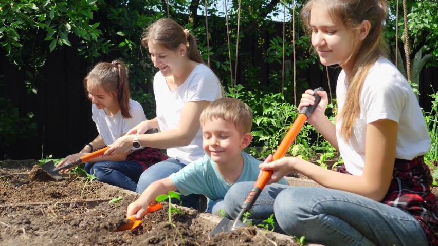 Happy smiling family with children digging ground with shovels and planting vegetables in garden bed at house backyard. Royalty-Free Stock Footage #1065082561