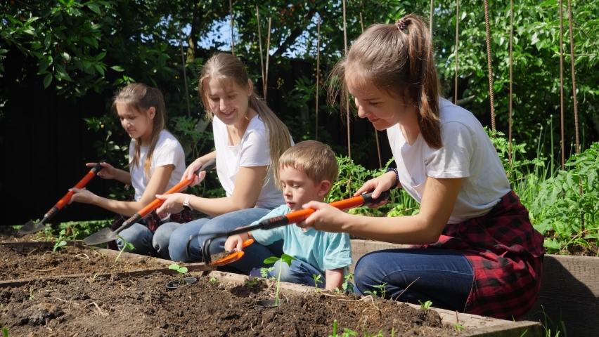 Slow motion footage of adults and children digging soil at garden and planting fresh organic vegetable seedlings | Shutterstock HD Video #1065082582