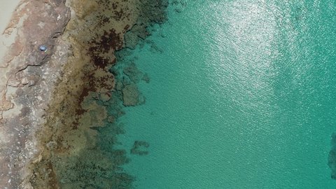 video of drone view of transparent water and rocks with people in the water