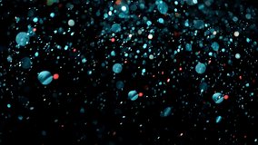 Blue dust particles fly in slow motion in the air lingering slowly. Dust Particles Background Bokeh Lights Background on Black Background 4k Footage Snow Particles Background.