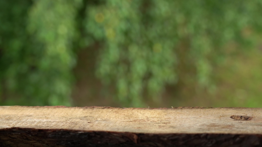 Design key visual layout Stock Video Footage - 4K and HD Video Clips ...