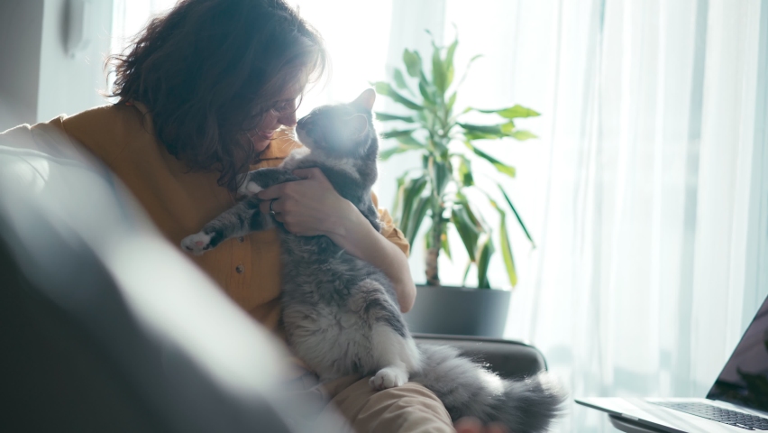 A touching moment between a pet and its owner. A fluffy grey cat kisses its owner on the nose while sitting in her arms. Royalty-Free Stock Footage #1065121894
