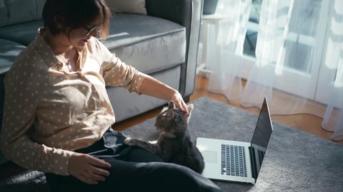 A young playful grey cat attacks its owner while she tries to work on a laptop at home. An adult woman scolds her cat for bad behavior