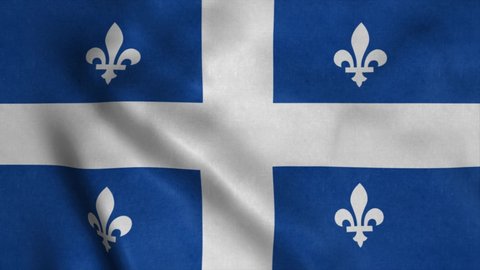 Quebec Province flag video waving in wind. Realistic Province Flag background