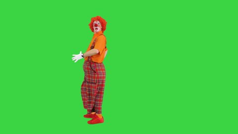Clown walking by and making a funny look into camera on a Green Screen, Chroma Key.