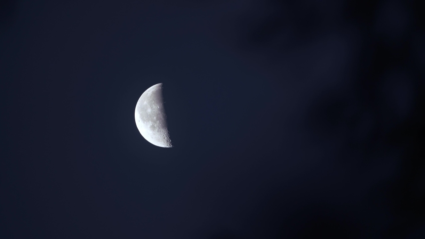 Half moon with dark blur tree in the front