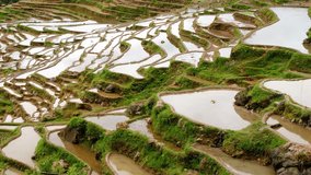 Timelapse video of Terraced Rice Field - Jiabang, Guizhou Province, China.