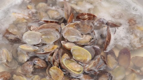 Boil the asari clams in a pot
