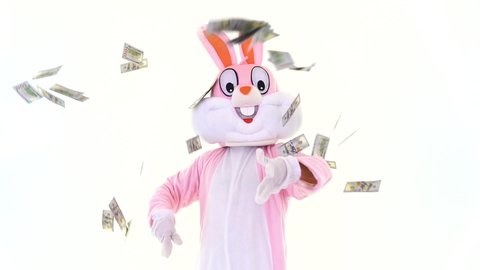 Easter bunny holds fan of dollar under rain of dollars, shows thumb finger up. Easter rabbit with dollars money on white background, celebrate Happy easter.