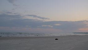 Low angle shot of an ocean beach near sunset. Stock 4k footage