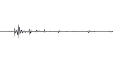 Sound wave isolated on white background. black color digital sound wave equalizer. Audio technology wave concept and design under the concept of black and white emphasize simplicity.