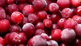 red frozen lingonberry close-up on a rotating stand - Powered by Shutterstock - Get 15% off with code: PIKWIZARD15