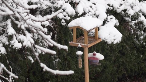 High angle view of various types of bird feeders filled with cereal grains, oil seeds, nuts, mealworms and fat balls during snow fall in winter time.  Concept of human care and help for wild birds