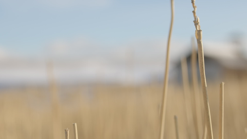 Rack Focus from Hay Field to Abandoned School House in Winter - Shallow DOF